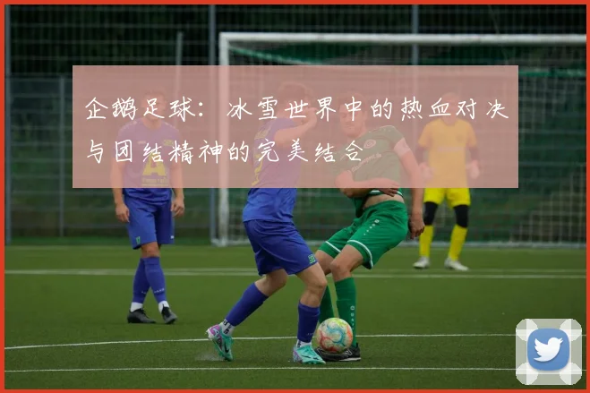 企鹅足球：冰雪世界中的热血对决与团结精神的完美结合