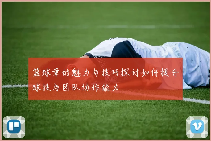篮球章的魅力与技巧探讨如何提升球技与团队协作能力