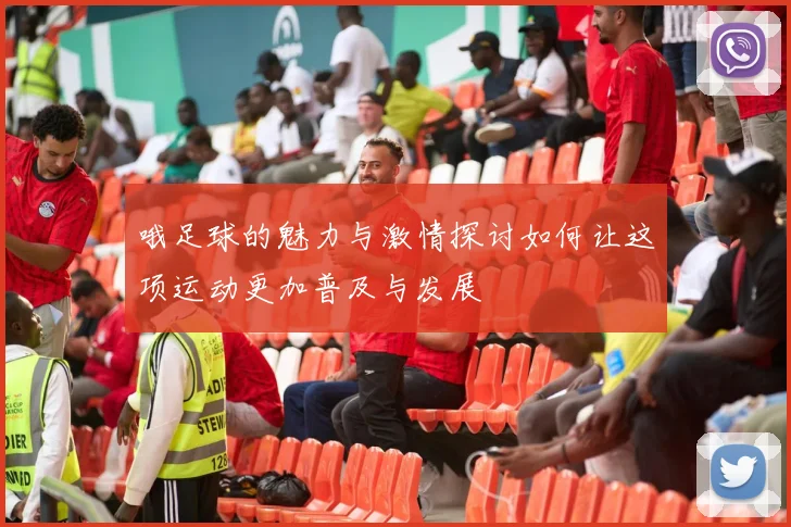 哦足球的魅力与激情探讨如何让这项运动更加普及与发展