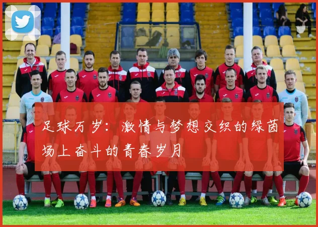 足球万岁：激情与梦想交织的绿茵场上奋斗的青春岁月