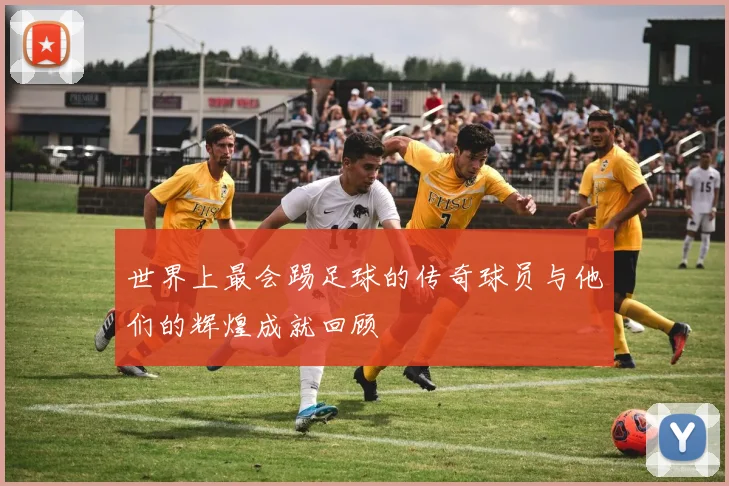 世界上最会踢足球的传奇球员与他们的辉煌成就回顾